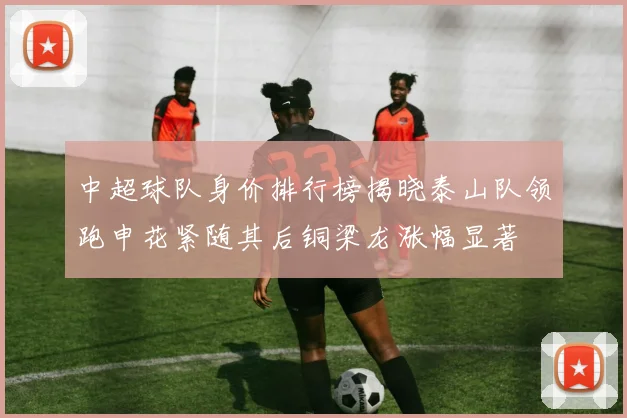 中超球队身价排行榜揭晓泰山队领跑申花紧随其后铜梁龙涨幅显著