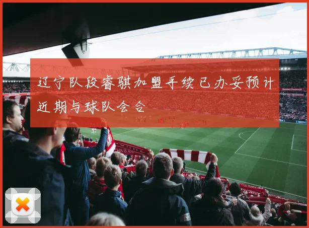 辽宁队段睿骐加盟手续已办妥预计近期与球队会合