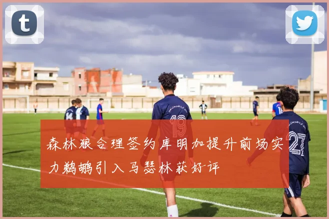 森林狼合理签约库明加提升前场实力鹈鹕引入马瑟林获好评